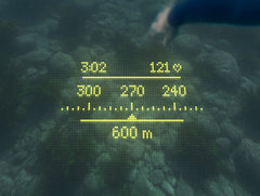 FORM + Garmin: The Ultimate Open Water Swim Experience