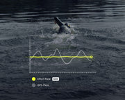 Introducing Effort Pace: Swimming Intelligence That Knows Your Stroke
