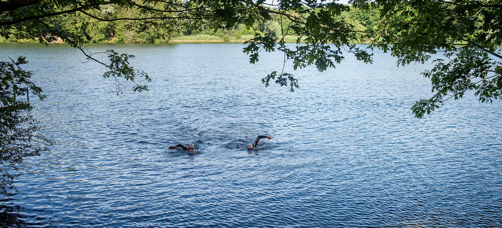 swimmers in a lake
