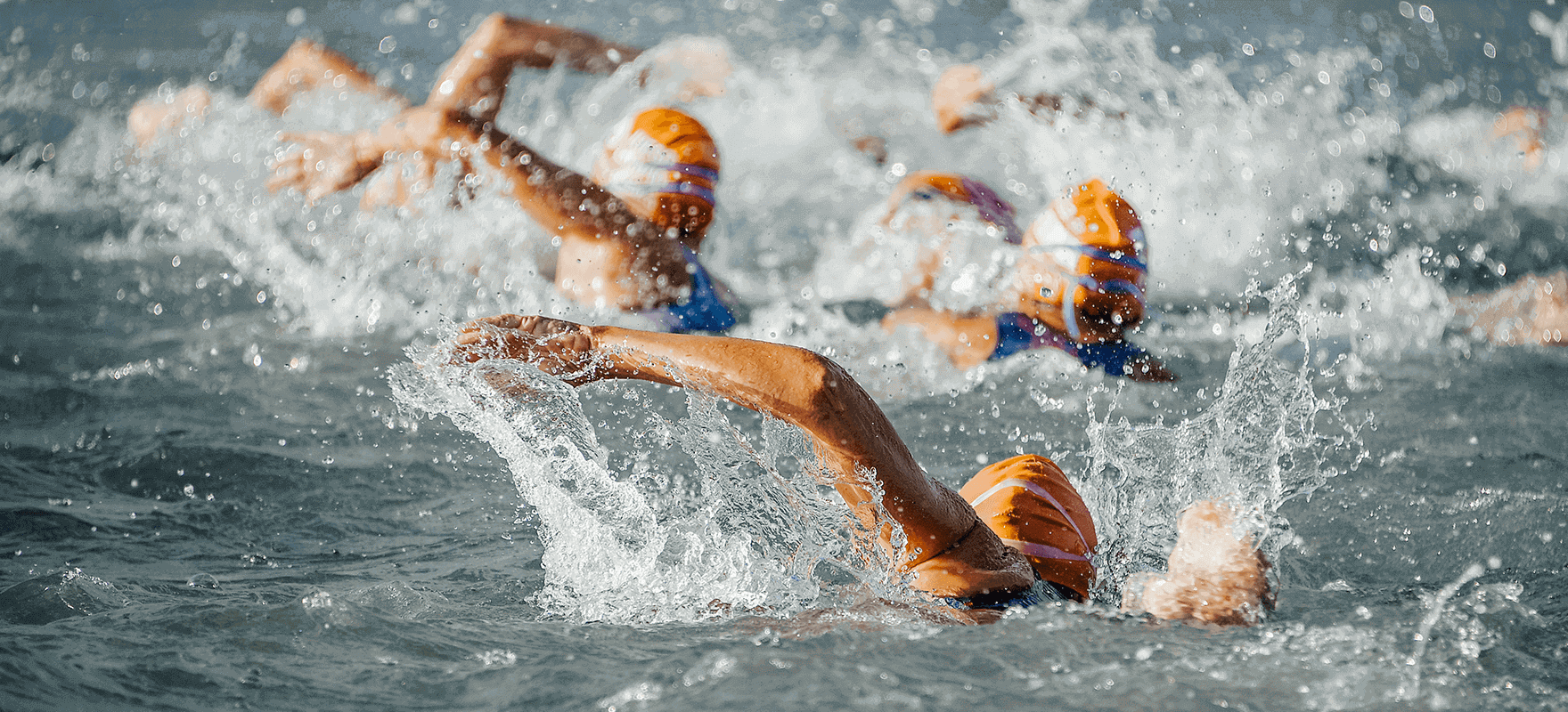 triathlon athletes racing in the water